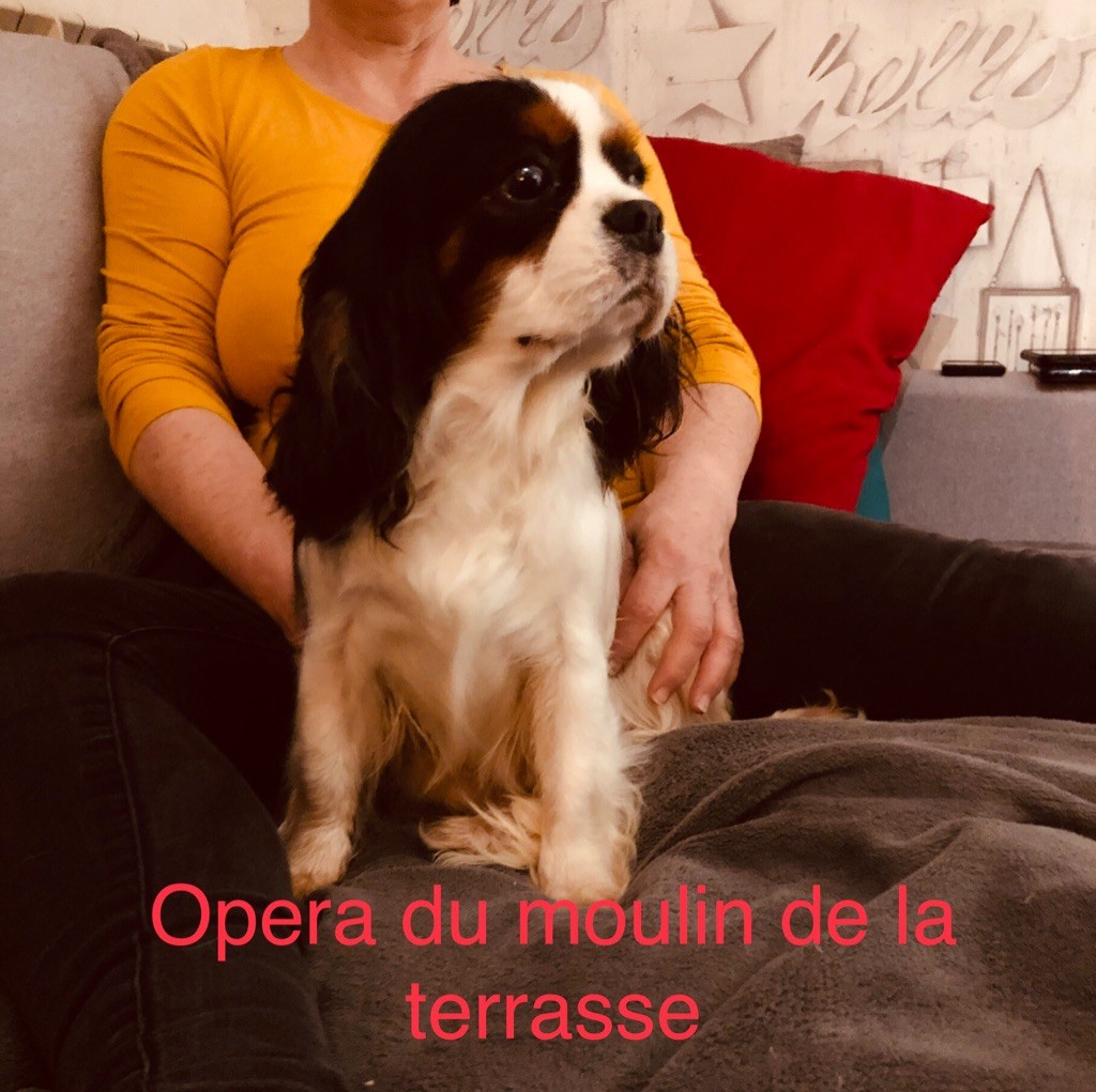 Opéra du Moulin de la Terrasse